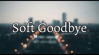 Soft Goodbye - Vid Horizon screenshot 1