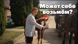 :  , ,         # # # 