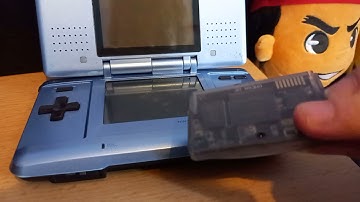 Action Replay DS Unknown/Debug Mode? Early Menu? Anyone Know What This Is?