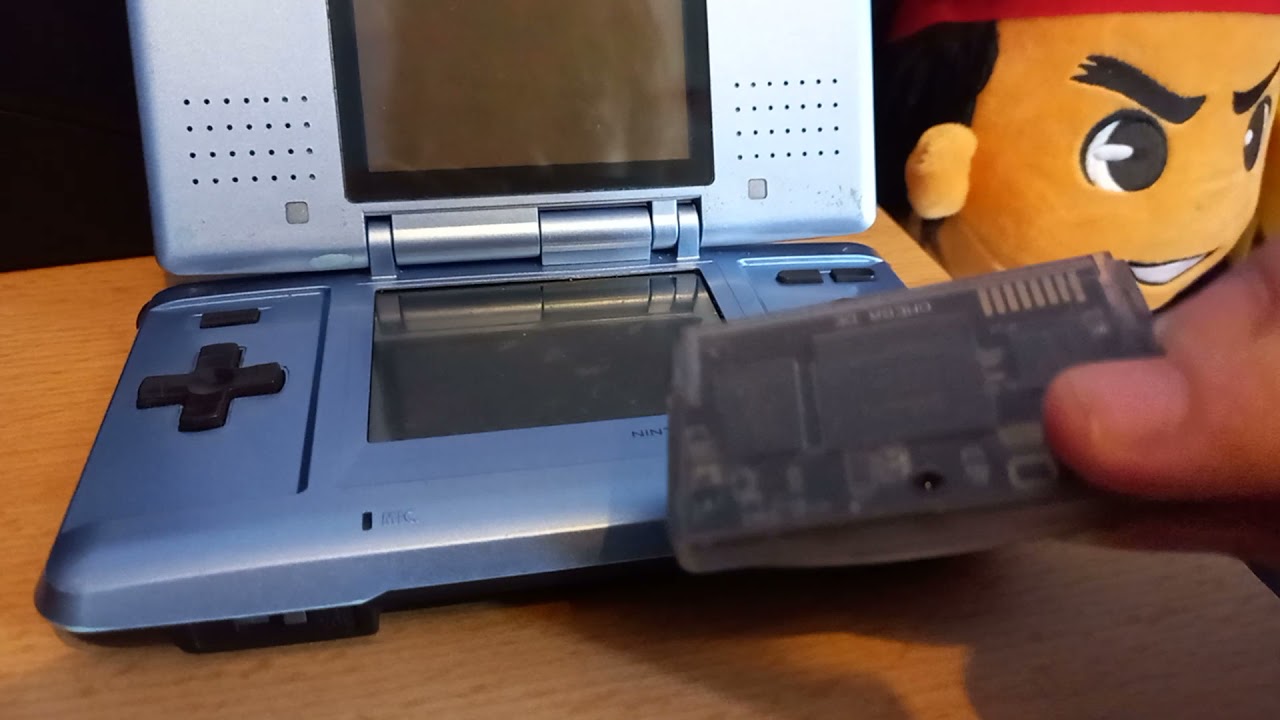 Action Replay DS Unknown/Debug Mode? Early Menu? Anyone Know What This Is?