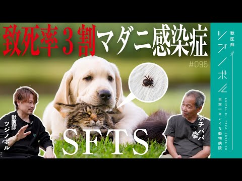 室内犬も危険！ダニ予防はたったの5分