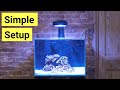 How To Set Up A Saltwater Aquarium For Beginners