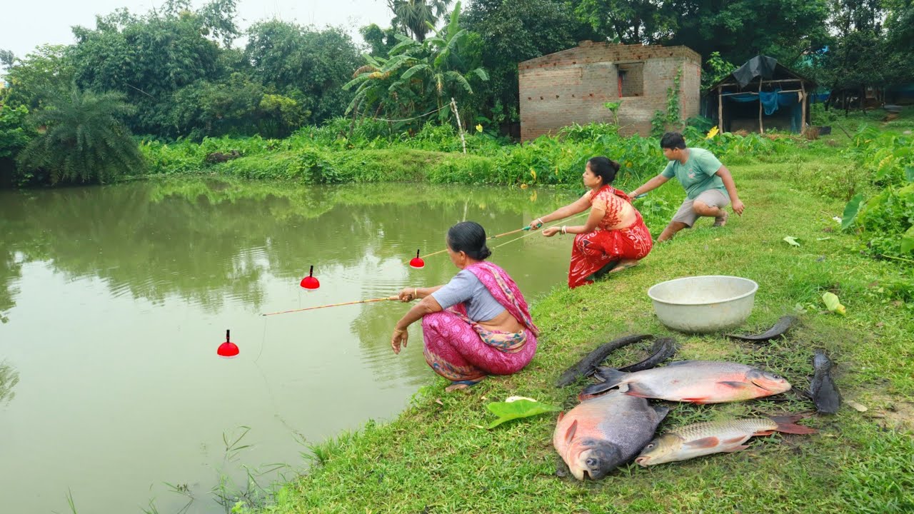 Fishing Video || Three expert fishermen fishing happily in the Beautiful Pond || Best hook trap