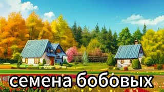 Купил семена бобовых на 8 кг