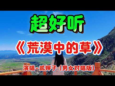 荒漠中的草 (男女对唱版)_贰婶子Cover Song（超好聽） - 隨風緣The most beautiful China