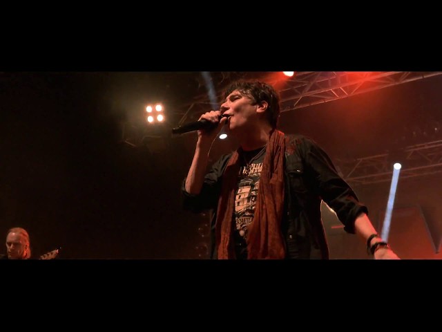 Colorado BulldogMr. BIG