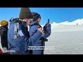 An Adélie Penguin Slid Right Past Us in Antarctica | Dodo Itineraries