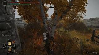 Why Is Incest So Prevalent In Elden Ring