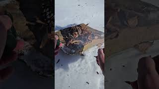 Hobo Stove  #camping #outdoorcooking