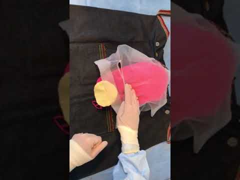 Midwife first assistant - Simulated Cesarean anatomy