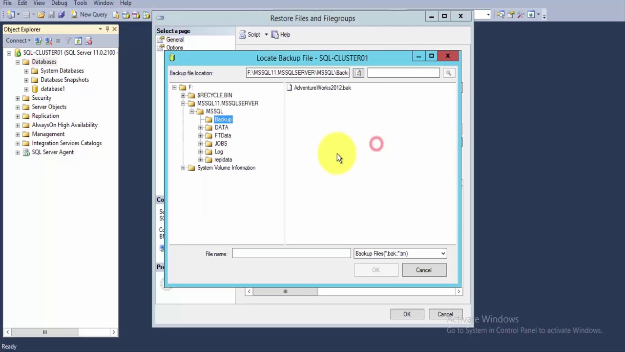 How To Import .Bak File To A Database In Sql Server