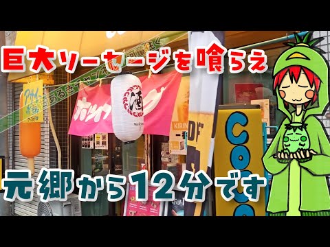 (川口市)ココドッグさんが川口元郷駅近くに移転したので食べに行ってきました