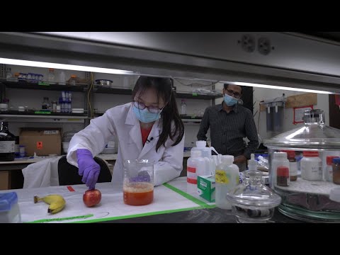 Rice lab’s egg-based coating extends shelf life of perishable produce