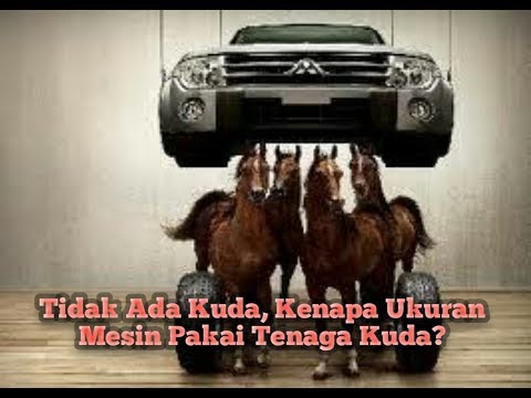 Video: Apa tenaga kuda adalah mesin 140cc?