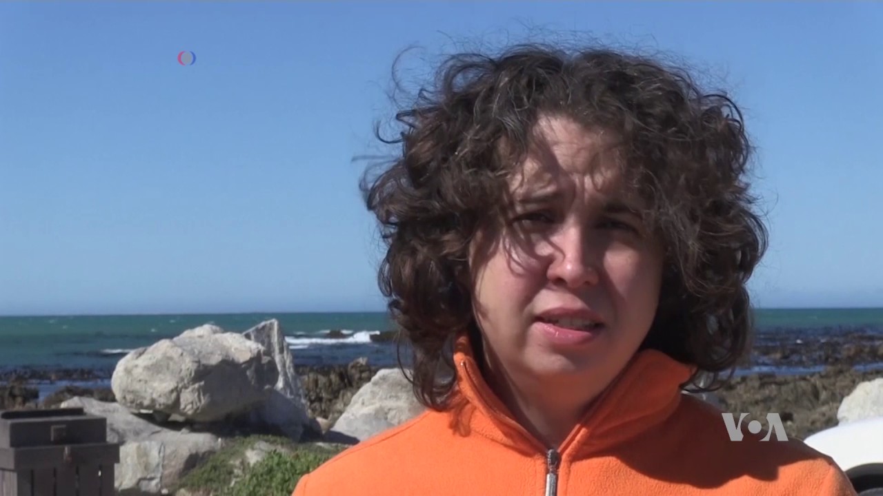 Great White Shark Populations on the Decline