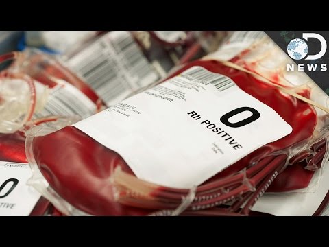 Why Do We Have Different Blood Types?