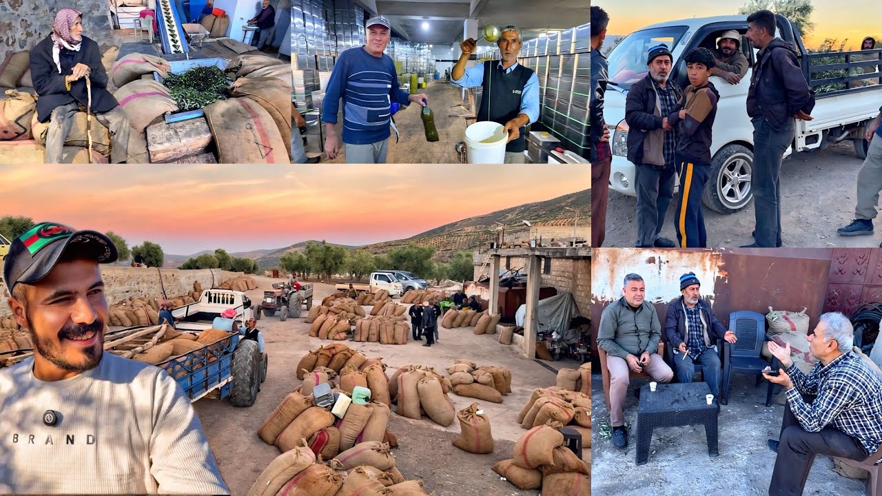 موسم رئيسي للريف العفريني ولكن حالة إحباط عامة للأهالي والسبب صدمة!!