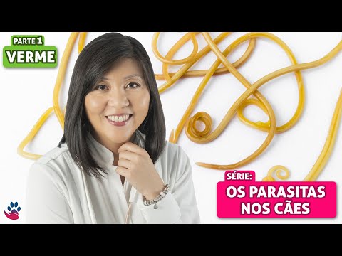 Vídeo: Infecção Por Vermes Estomacais (fisalopterose) Em Cães