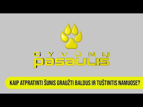 Video: Kodėl šunys valgo medžio žievę?