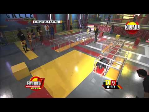 Calle 7 Panamá - Circuito a gatas