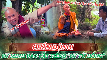 Chấn Động! Sư Minh Đạo cất tiếng “SƯ TỬ HỐNG” - Sư Minh Tuệ chính là “SƯ TỔ ĐẦU ĐÀ” thời kỳ này