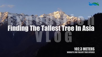 Finding the Tallest Tree in Asia
