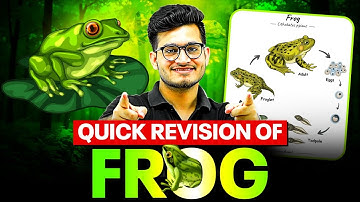 FROG - Quick Revision in 119 Minutes | Class 11th Zoology | PhysicsWallah