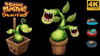 Potbelly - Babyadult Sound And Animation 4K