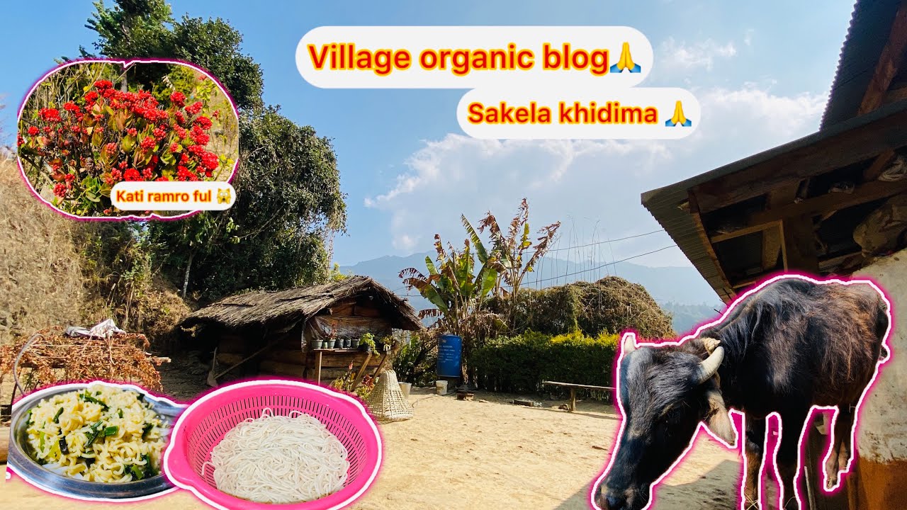 Thuppa khadaixam aja chai sathiharu 🙏🥰@Raisibling 