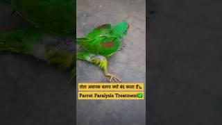 Helping Bird Lovers community