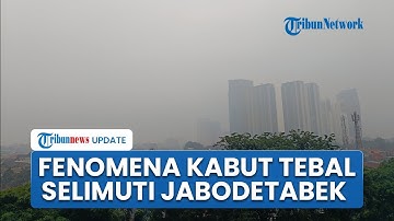 Fenomena Kabut Tebal Selimuti Jabodetabek, Warga Sebut Cuaca Bak di Puncak seusai Dihuyur Hujan