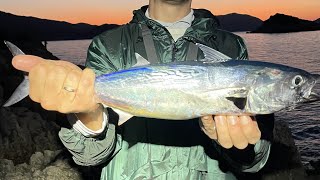 Ловим Тунца и Барракуду с Берега в Турции! Catching Tuna and Barracuda from the Shore in Turkey!