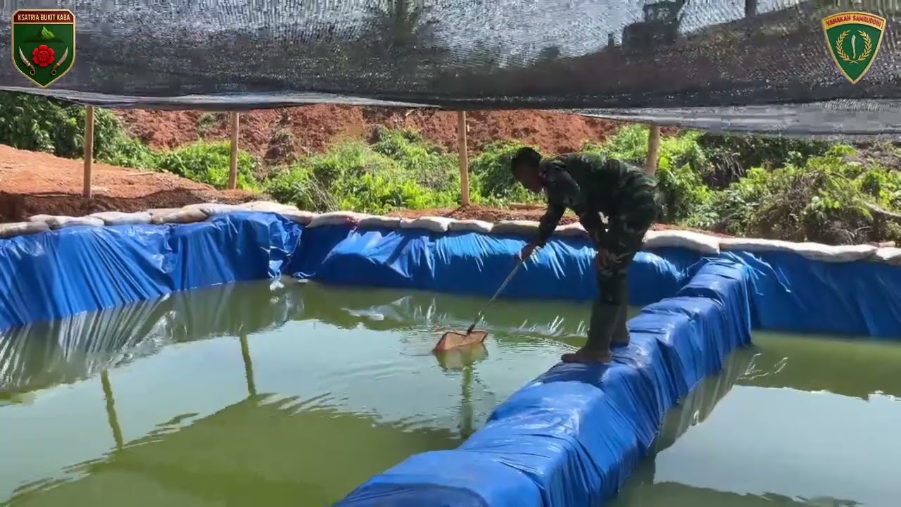 Kegiatan pemeliharaan hewan ternak oleh kompi peternakan YONIF TP 847/VS