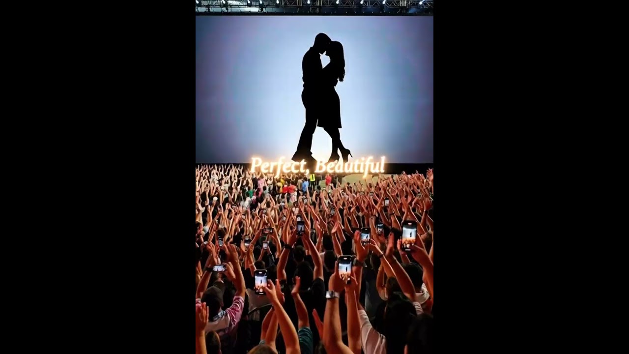 Faasen - Perfect,Beautiful