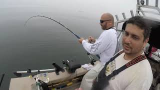 Lingcod fishing in half moon bay