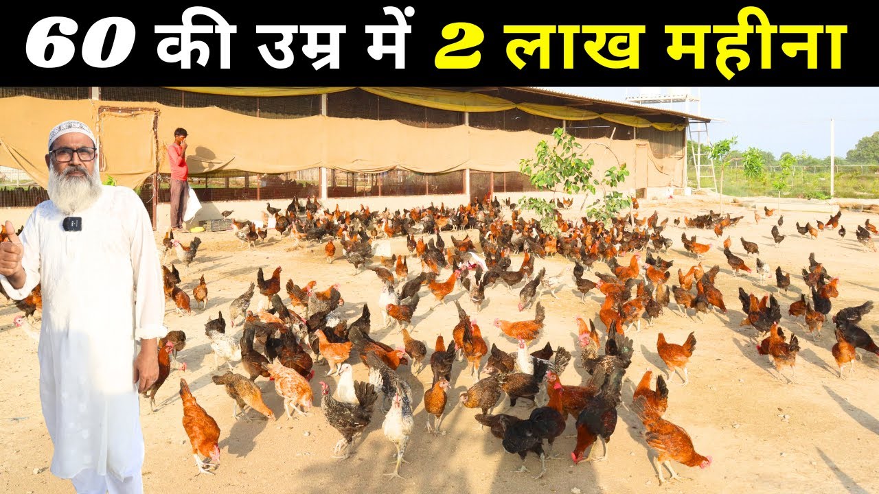 आप भी 2 लाख महीना कमाए देसी मुर्गा फार्म से 😱🤑 II Desi Murga farm II Poultry Business II Desi Murgi
