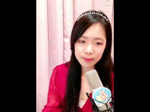 許美靜  鐵窗 可愛麗絲 鋼琴演奏