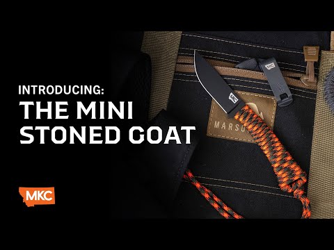 INTRODUCING: THE MINI STONED GOAT