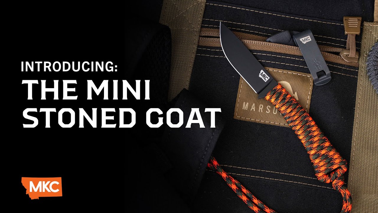 INTRODUCING: THE MINI STONED GOAT