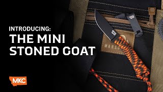 INTRODUCING: THE MINI STONED GOAT