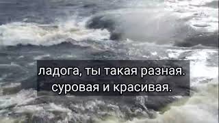 Шторм на Ладоге. Трое, не считая собаки, застряли на острове .