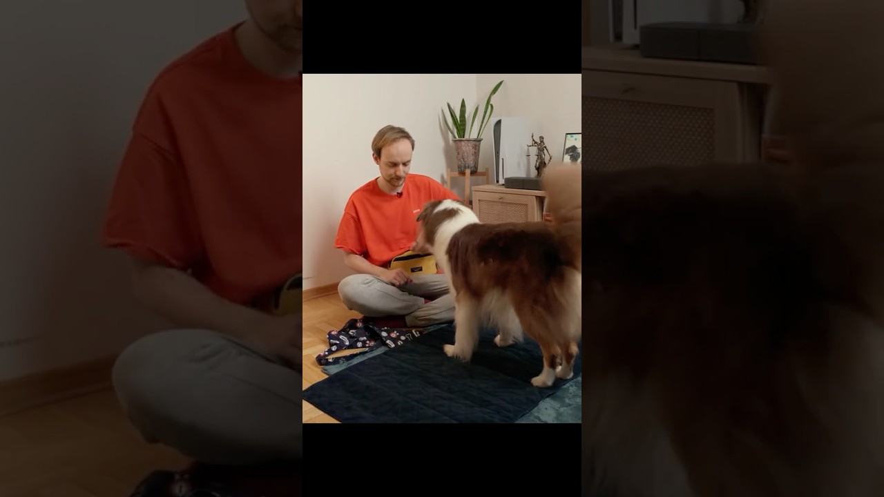 Cześć 3. Trening Kooperacyjny - Mata do NICNIEROBIENIA