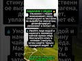 УМЫВАНИЕ С МЁДОМ 🍯
