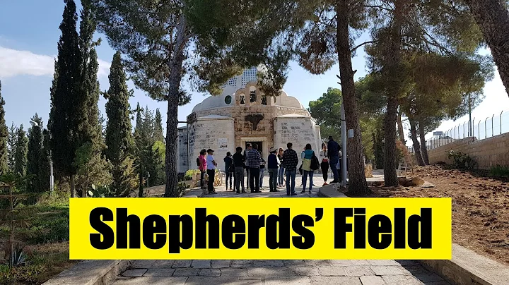 Angel Announces Jesus' Birth at Shepherds' Field