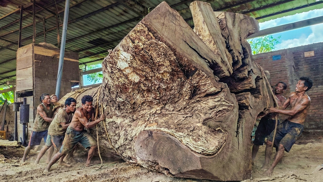 Rare Hardwood Logs Processed by Heavy Duty Machines