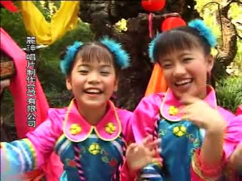 中華寶寶 招財進寶