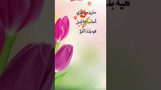 شكراااا معلماتي على جهودكم في تطبيق منصه مدرستي