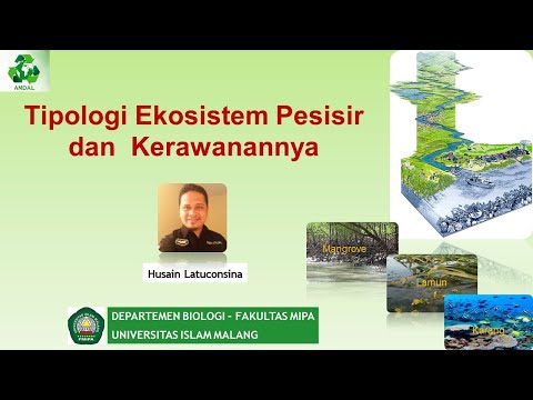 Video: Efek Peningkatan Suhu Dan Sedimentasi Pada Tingkat Penggembalaan Landak Laut Hijau: Implikasi Untuk Hutan Rumput Laut Yang Terkena Peningkatan Sedimentasi Dengan Perubahan Iklim