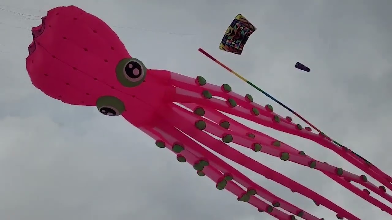 8 axels! great fly !!