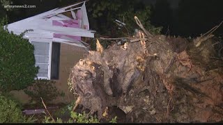 Wind Brings Tree Down Onto Lake Jeanette Home